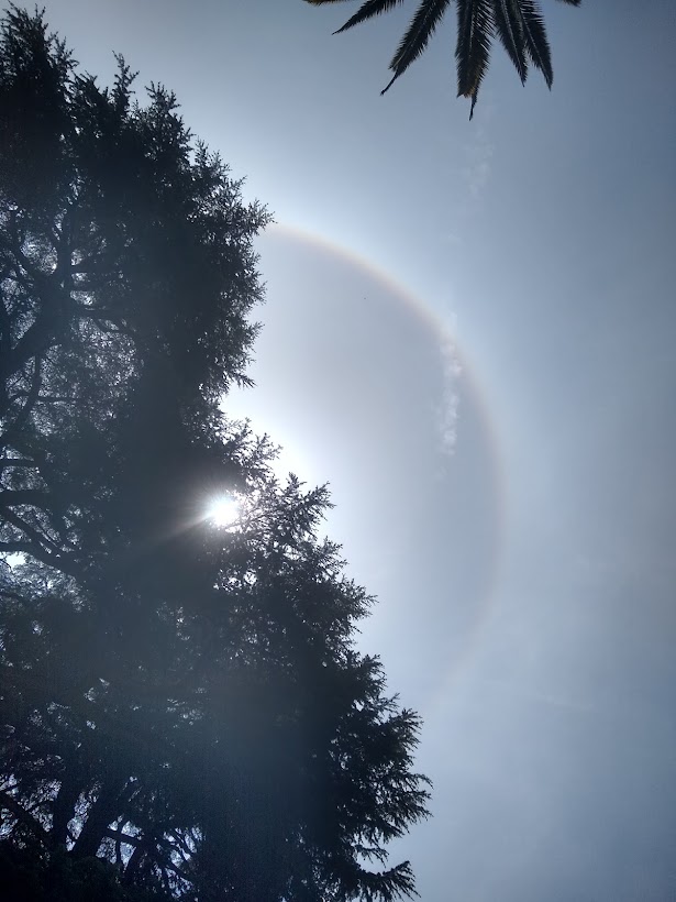 Sun halo