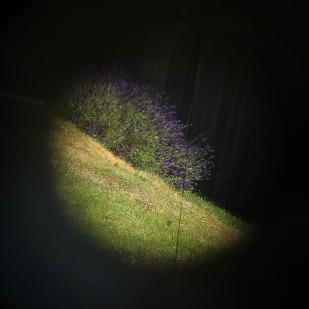 Shot with my Canon T5i and a 28MM lens held to the eyepiece.