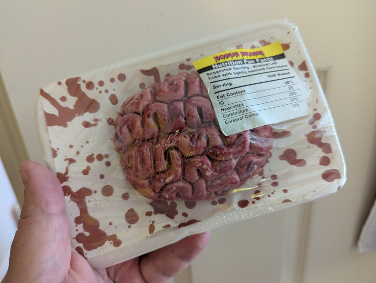 brains1.jpg