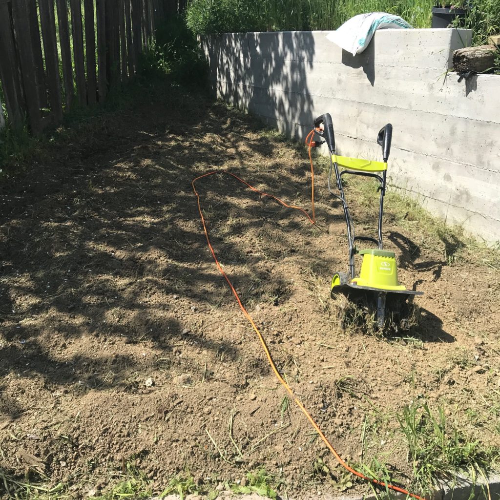 Tilling the corner of my yard.