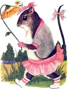 Cute Squirrel