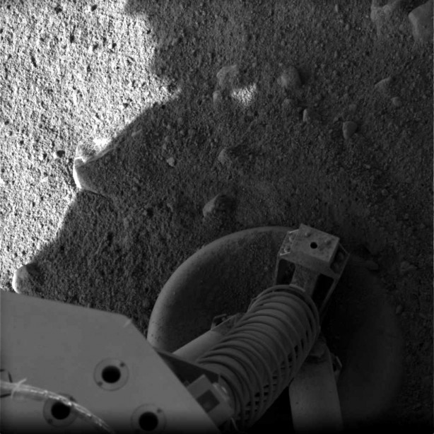 Mars Phoenix, on the Martian Surface
